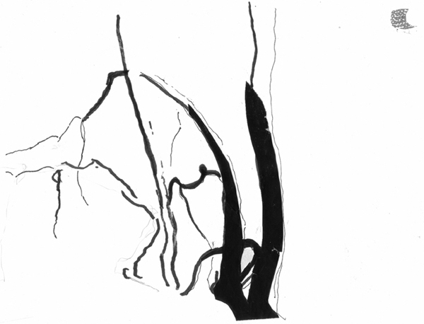 12.5.24, Äste in Stammheim