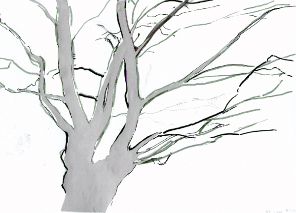 April, Eiche 1 vom 18.4.23