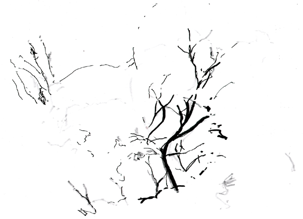 Wipfel aus Undenheim 1